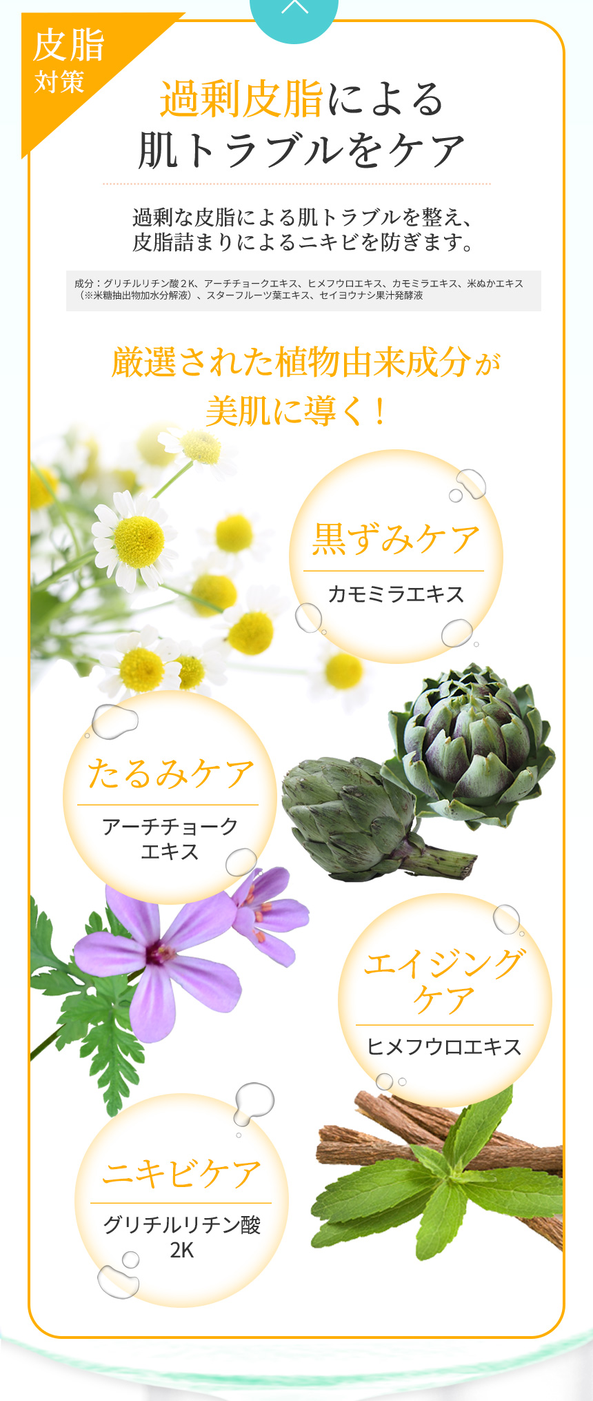『皮脂対策』過剰皮脂による肌トラブルをケア